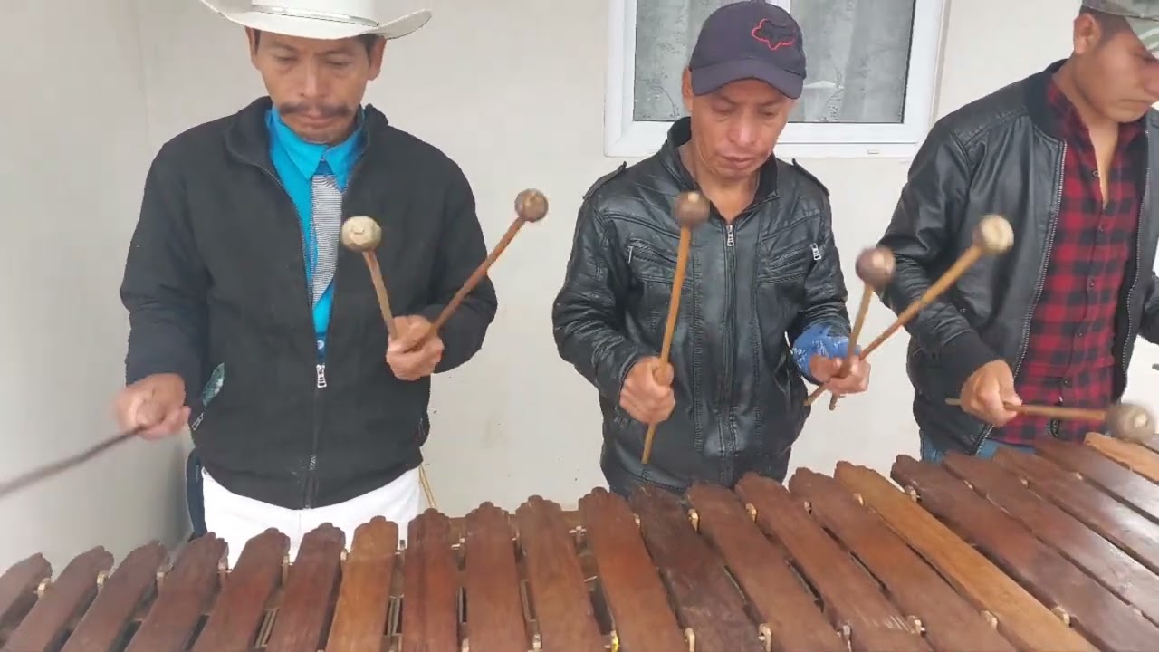 Marimba de San Sebastian....Los Mejores Sones ..2023