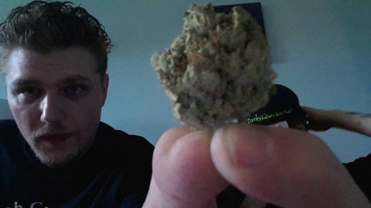 Four Quad strain review with my boy Darkside Stoner