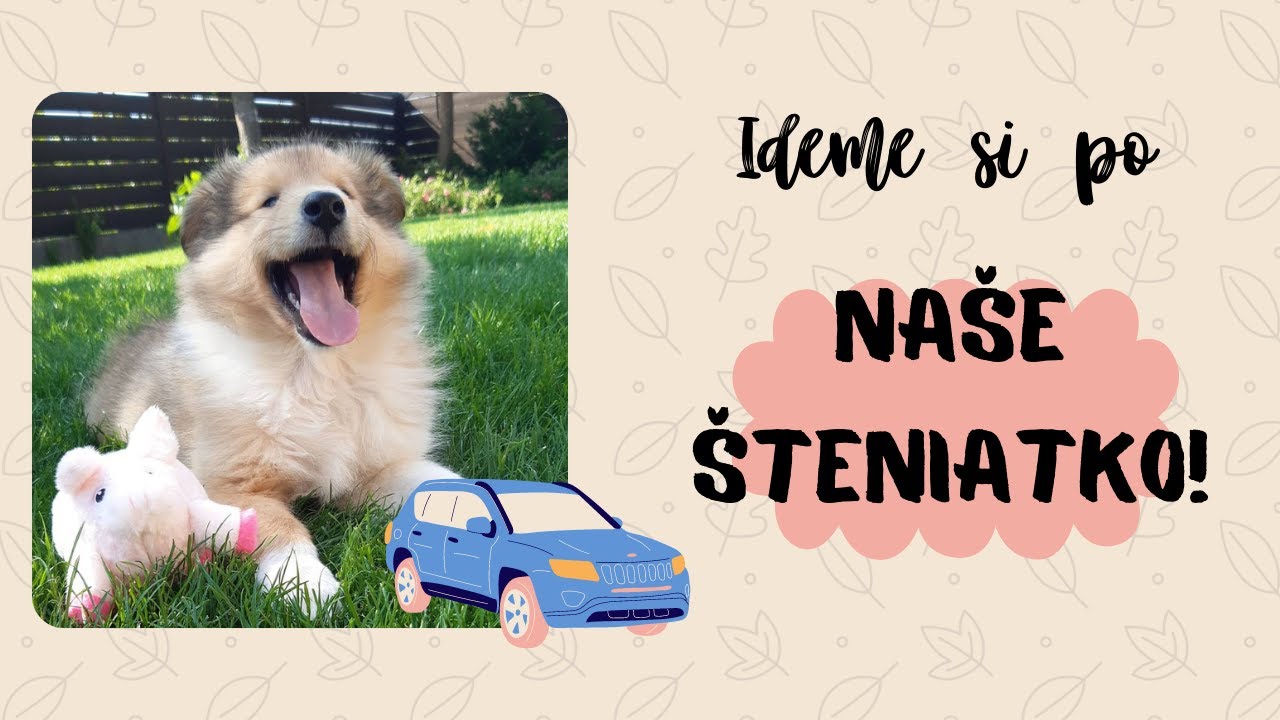 Ideme si po Naše Šteniatko! | VLOG