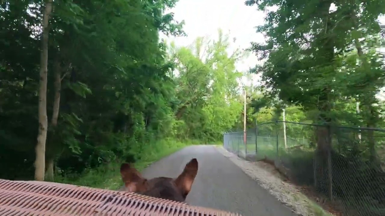 Berea Trails #4 - Exploring the Berea Bypass, Shortline & Stephenson Memorial Trails in Berea ky.