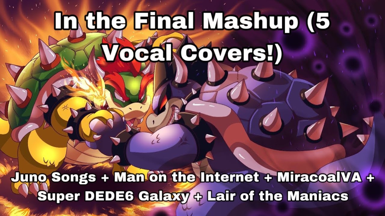 Mario & Luigi: Bowser Inside Story - In The Final Vocal Mashup (Read Description)