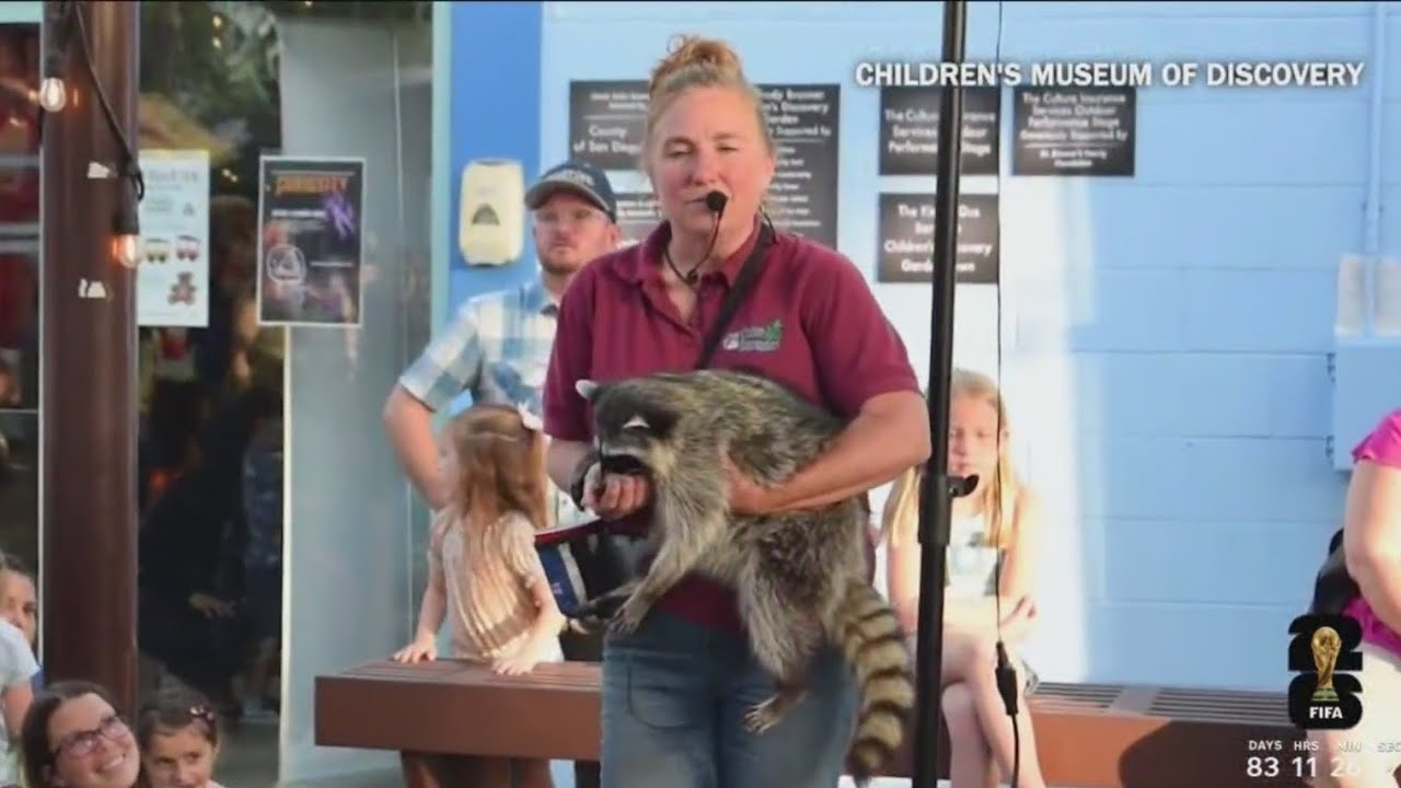 Nature Night at Children's Discovery Museum