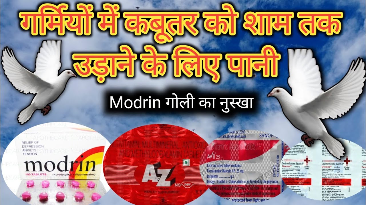 Garmi ka khel Pani || 1 घंटे वाला कबूतर उड़ेगा शाम तक || May June ka khel pani || Champion Nuskha