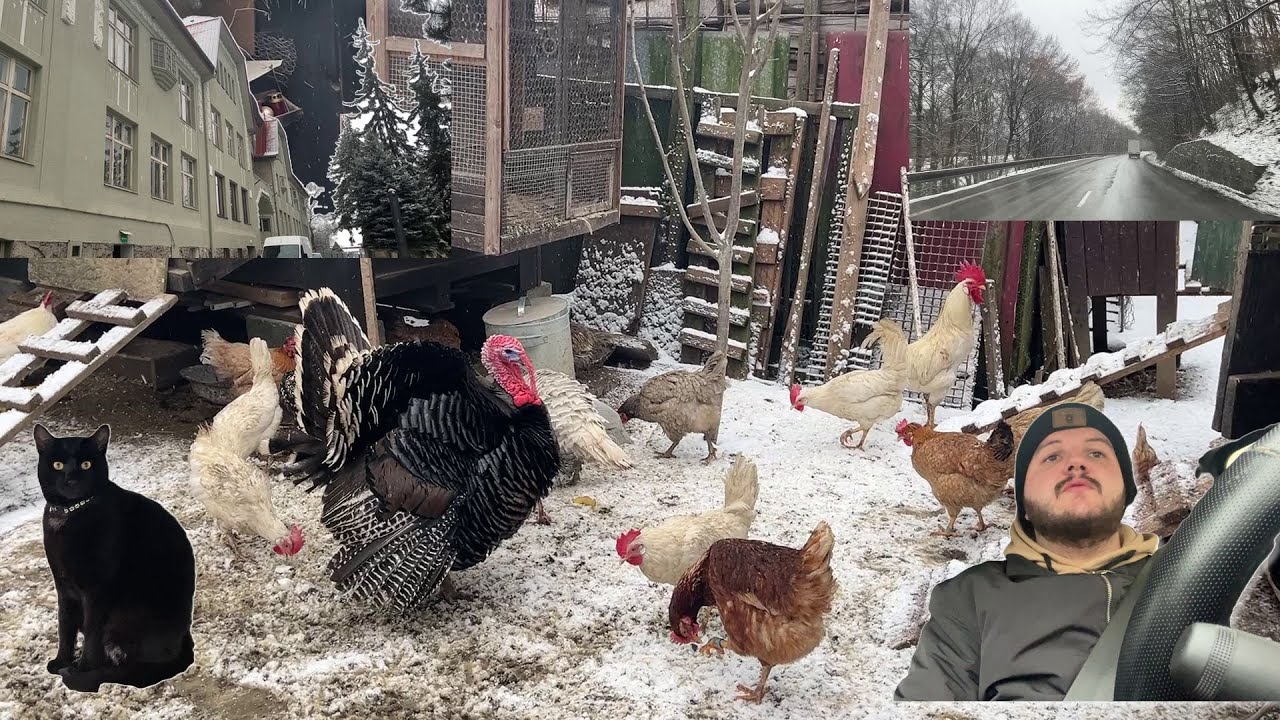 Hens-VLOGS :1228🏨🌨