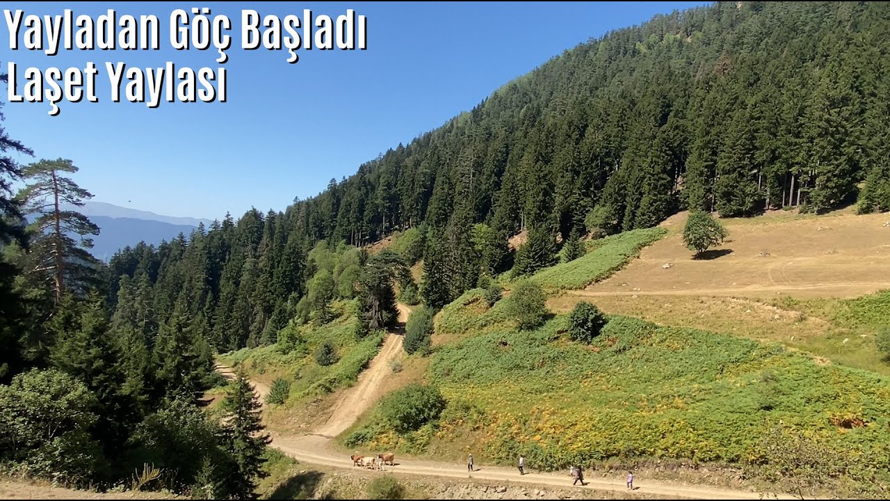 Yayladan Göç Başladı - Laşet  Yaylası- Ardanuç