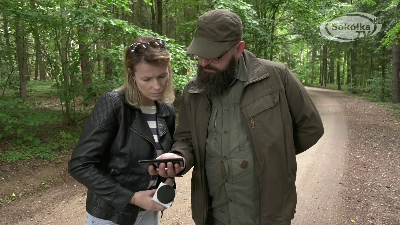 Wilczy atak w Zubrzycy Wielkiej /Sokółka TV /2019 /Wilk