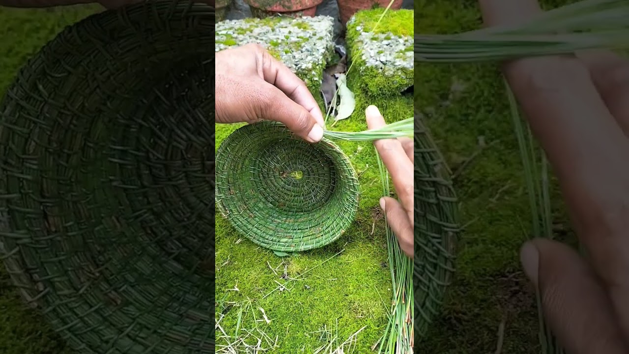 Authentic skill pine needles making @Pineconya