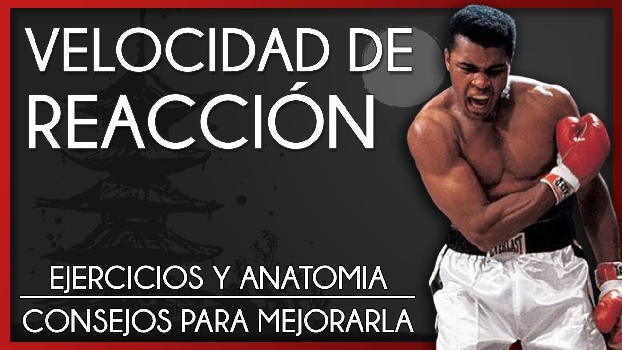 🚀COMO  AUMENTAR TU VELOCIDAD en ARTES MARCIALES| Karate para PRINCIPIANTES