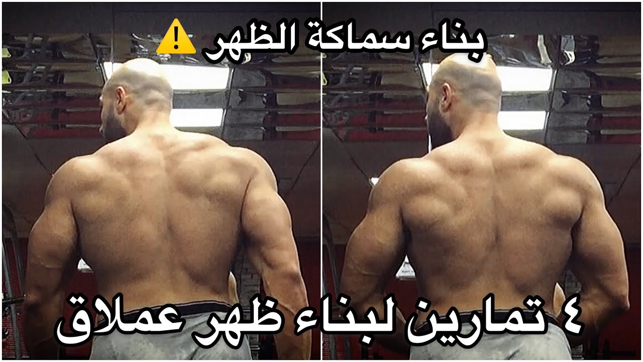 بناء عضلات ظهر ضخمة و سميكة