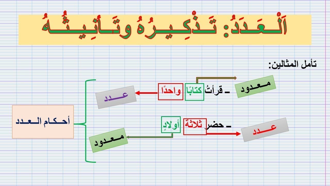 درس العدد: تذكيره وتأنيثه (للثانية إعدادي) شرح مبسط بأمثلة سهلة ومفهومة