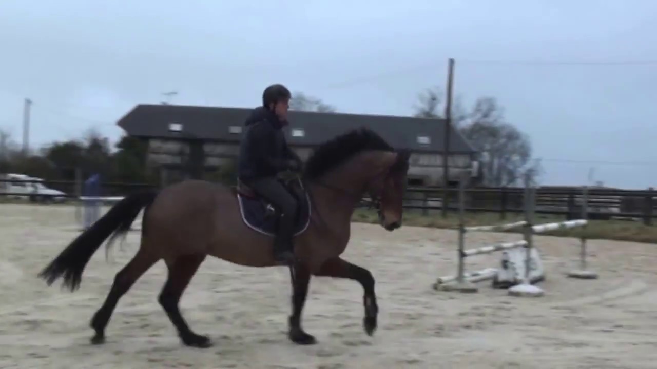 MONTJEU