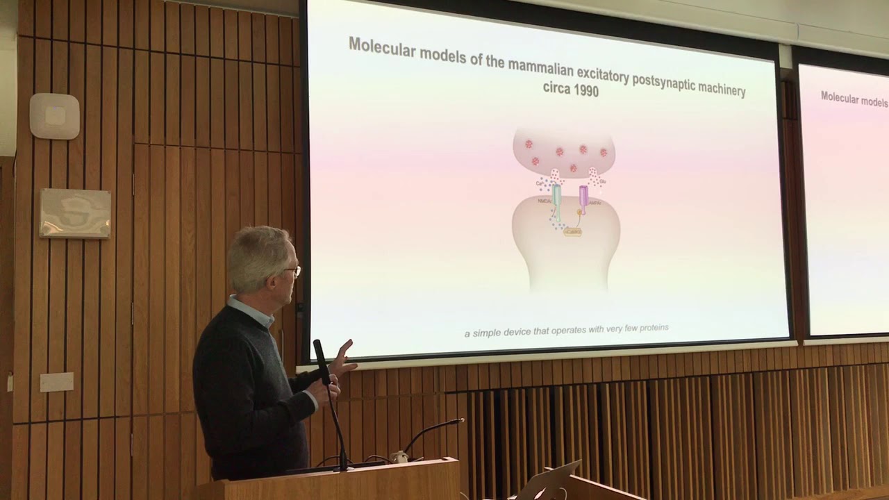 Dr. Seth Grant, I.BA.N.G.S Distinguished Investigator Award Recipient, 2019