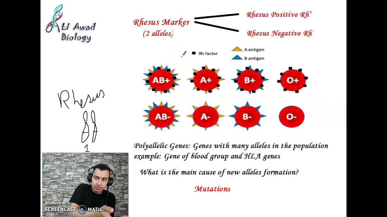 Chapter 4, Activity 3 the Genotype part 2 #Grade_11_science