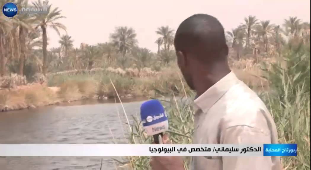 واد سوف: بحيرة عياطة.. محمية تحتضن أندر الطيور والأسماك