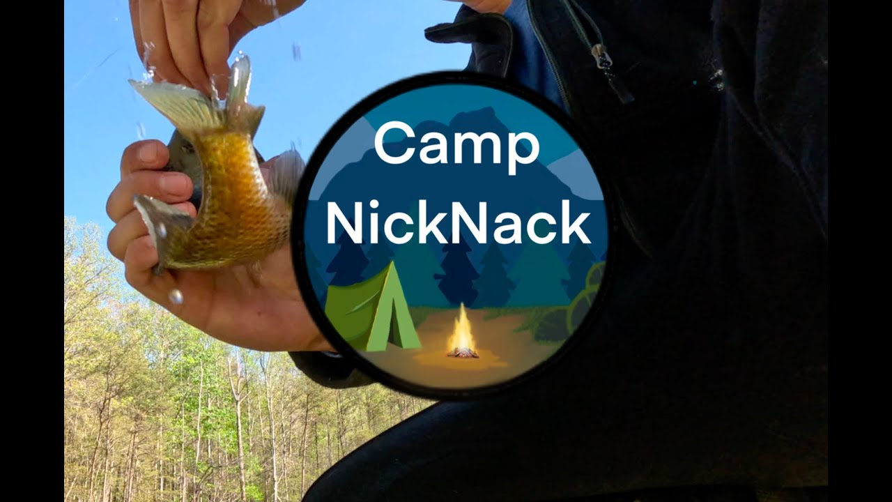 Gathering Wood and Fishing - ASMR Camping - Kentucky Forest