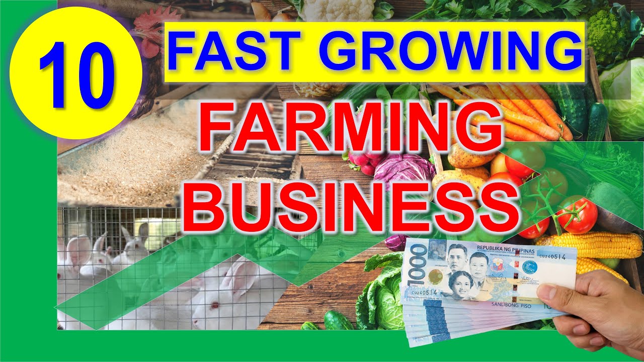 The 10 Profitable Farming Ideas with Farmgate and Retail Price