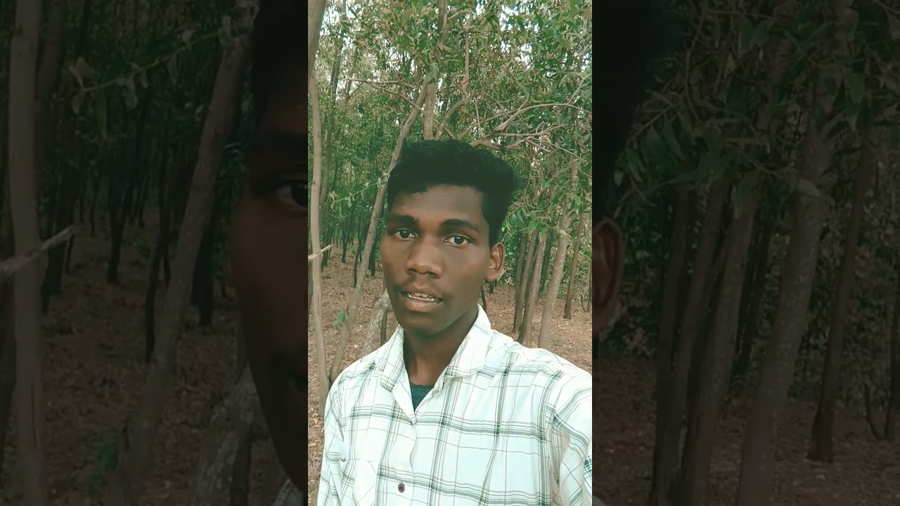 Abua disom abuaraj //new santali video song 2024// #shortsfeed #viralvideo #shortsviral #pochavlogs