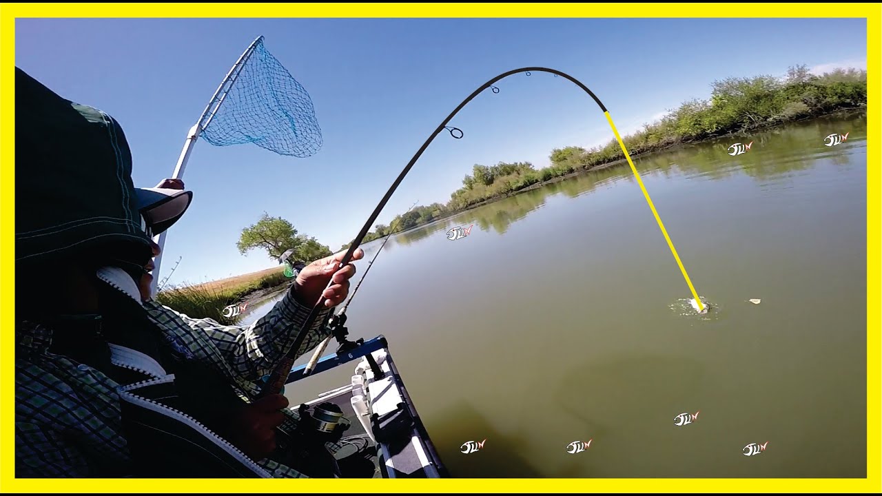 STRIPER FISHING Rio Vista CA Delta | No Wind, No Bueno!