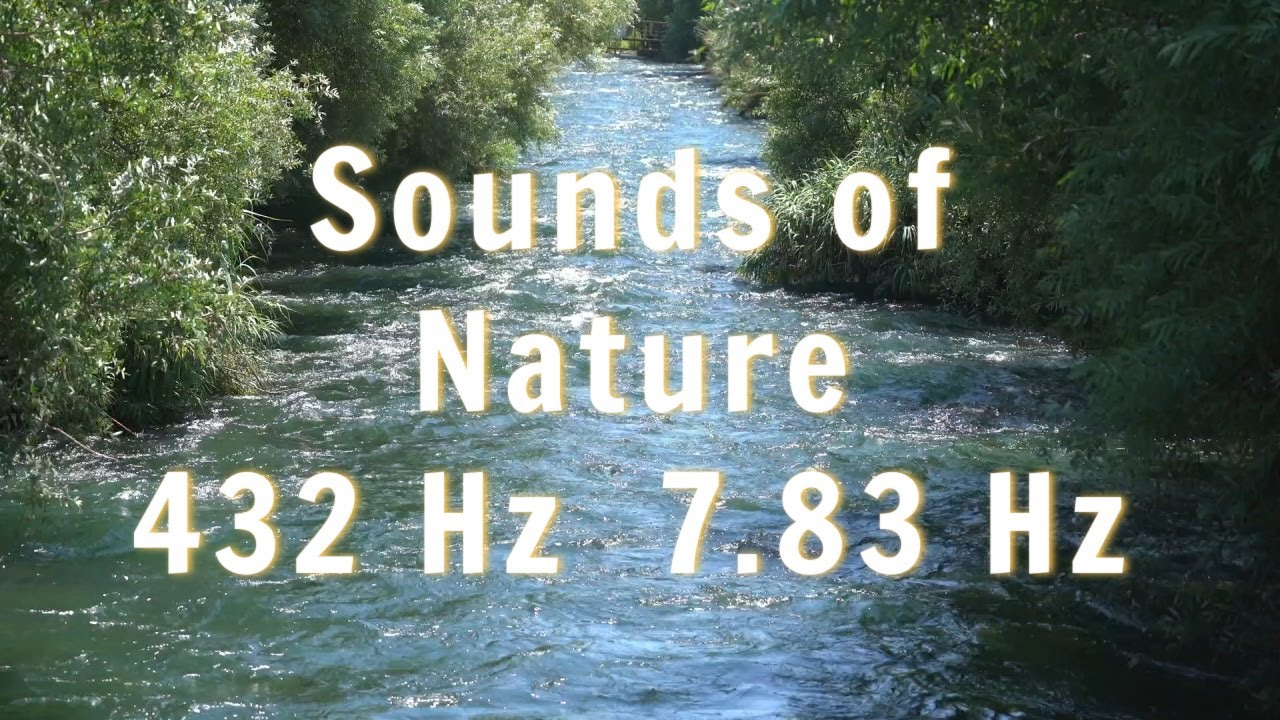 Relaxing Calming Music with Bird Sounds for Meditation  432 Hz  and 7.83 Hz Frequencies