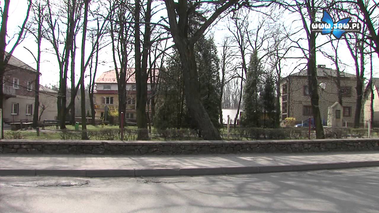 Jeleń -- zapomniana dzielnica Jaworzna?