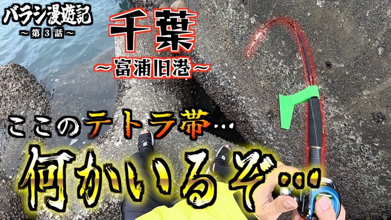 【第３話】釣り場調査 富浦旧港編 #千葉 #穴釣り