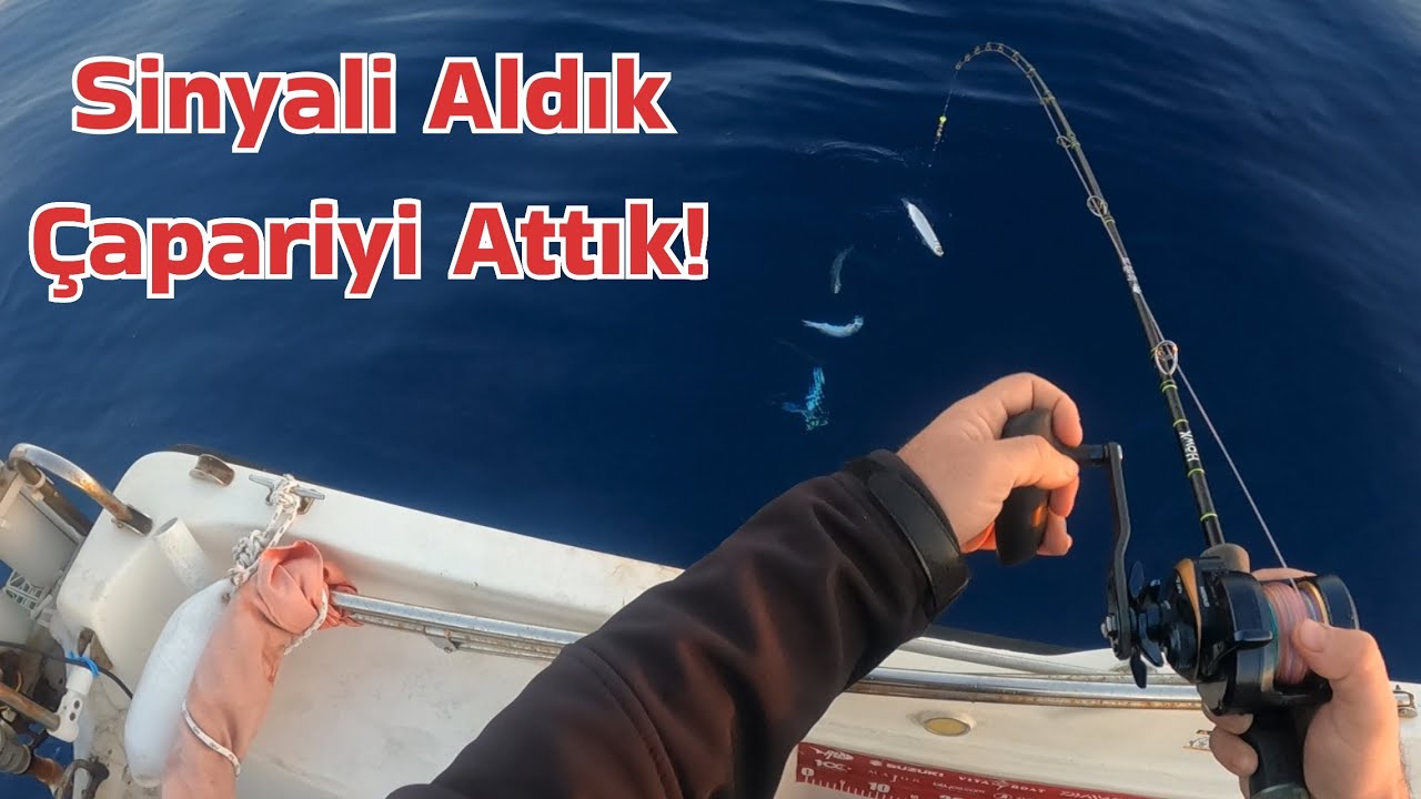 Çapari ile Balık Avı ve Balık Bulucuda Balığın İzini Sürmek! #balıkavı #fishing #fish #balık
