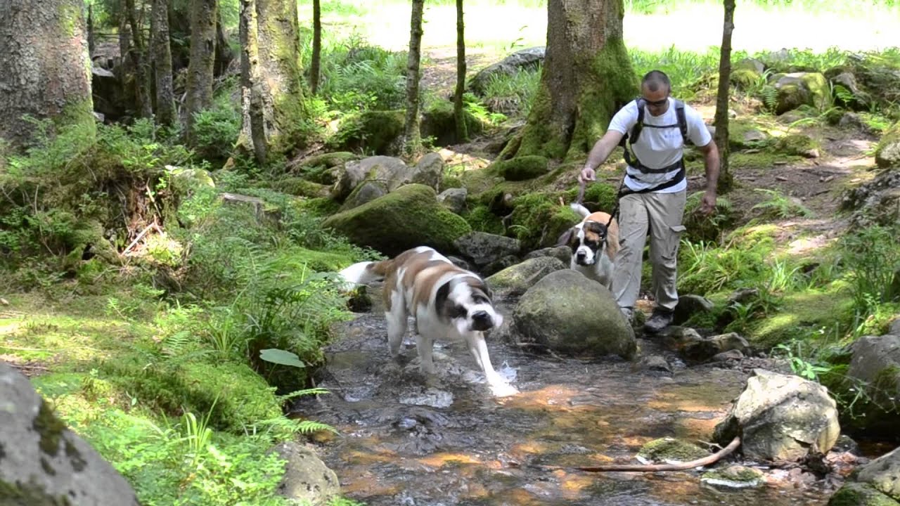 friska et Heineken &agrave; la cascade de la pissoire