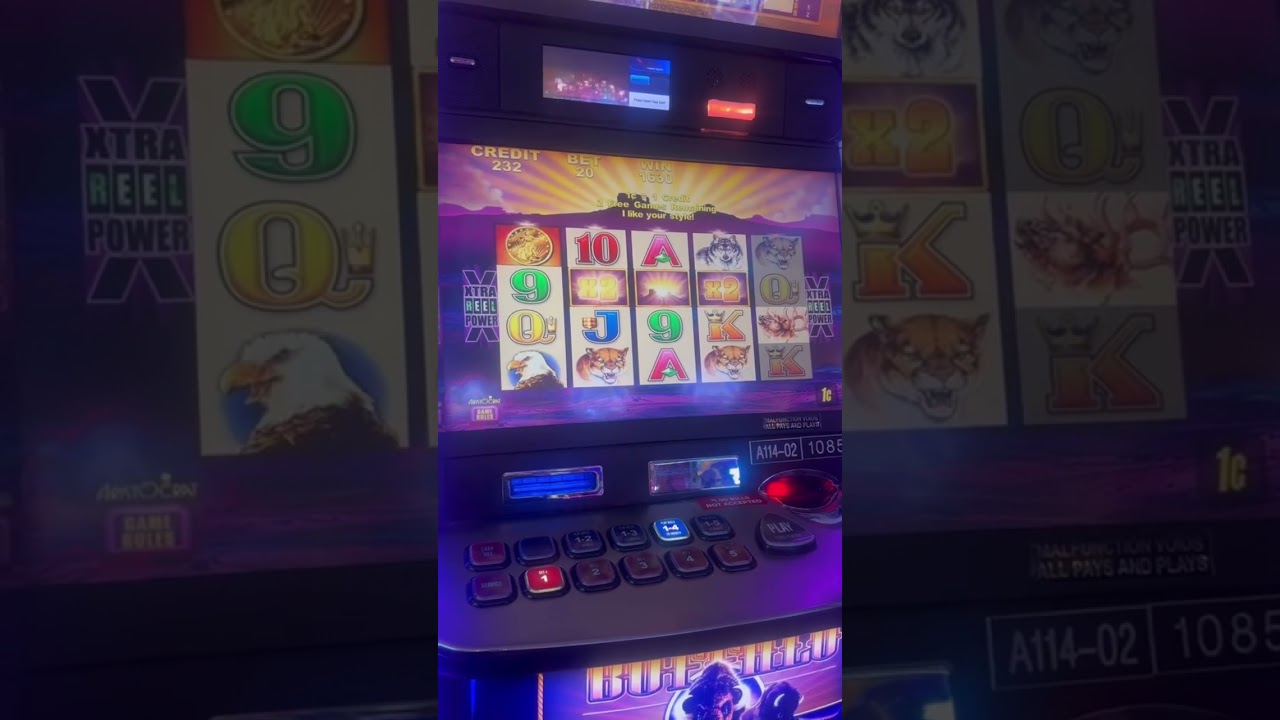 Buffalo Slots Bonus Video Session 