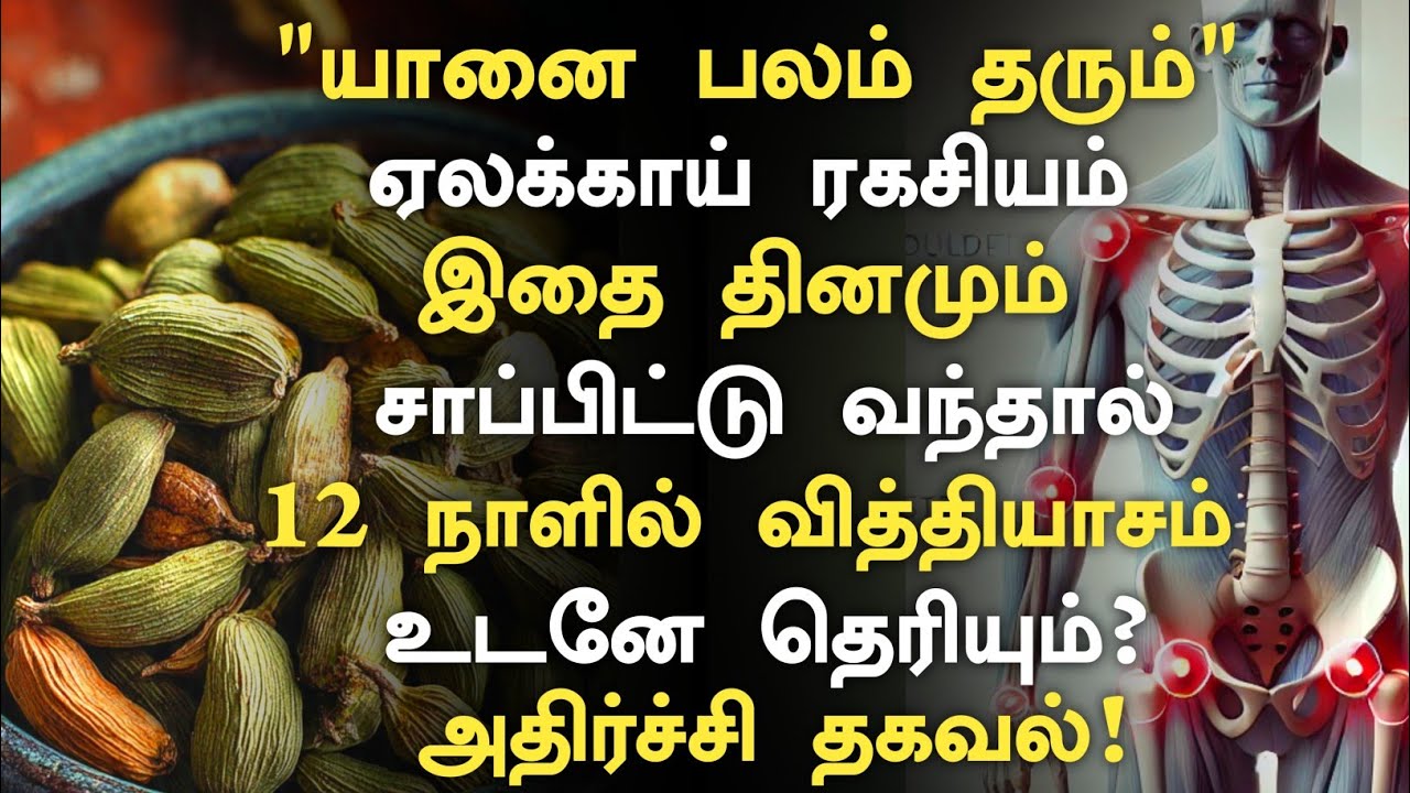 ஏலக்காய் மருத்துவ ரகசியம்!  மருந்து!| Benefits of Cardamom in Tamil | Health Tips in Tamil 