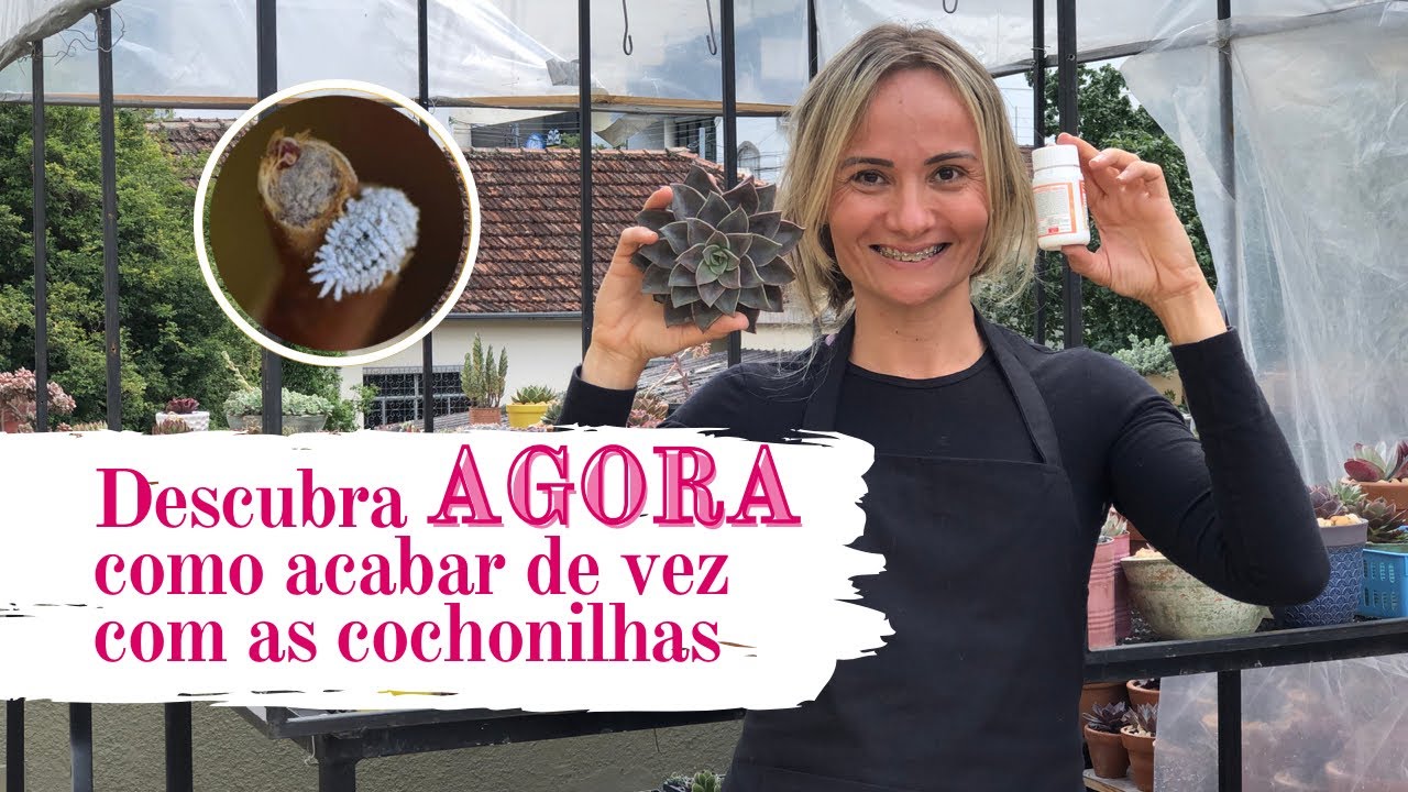 Episódio 40 - Como acabar com as cochonilhas
