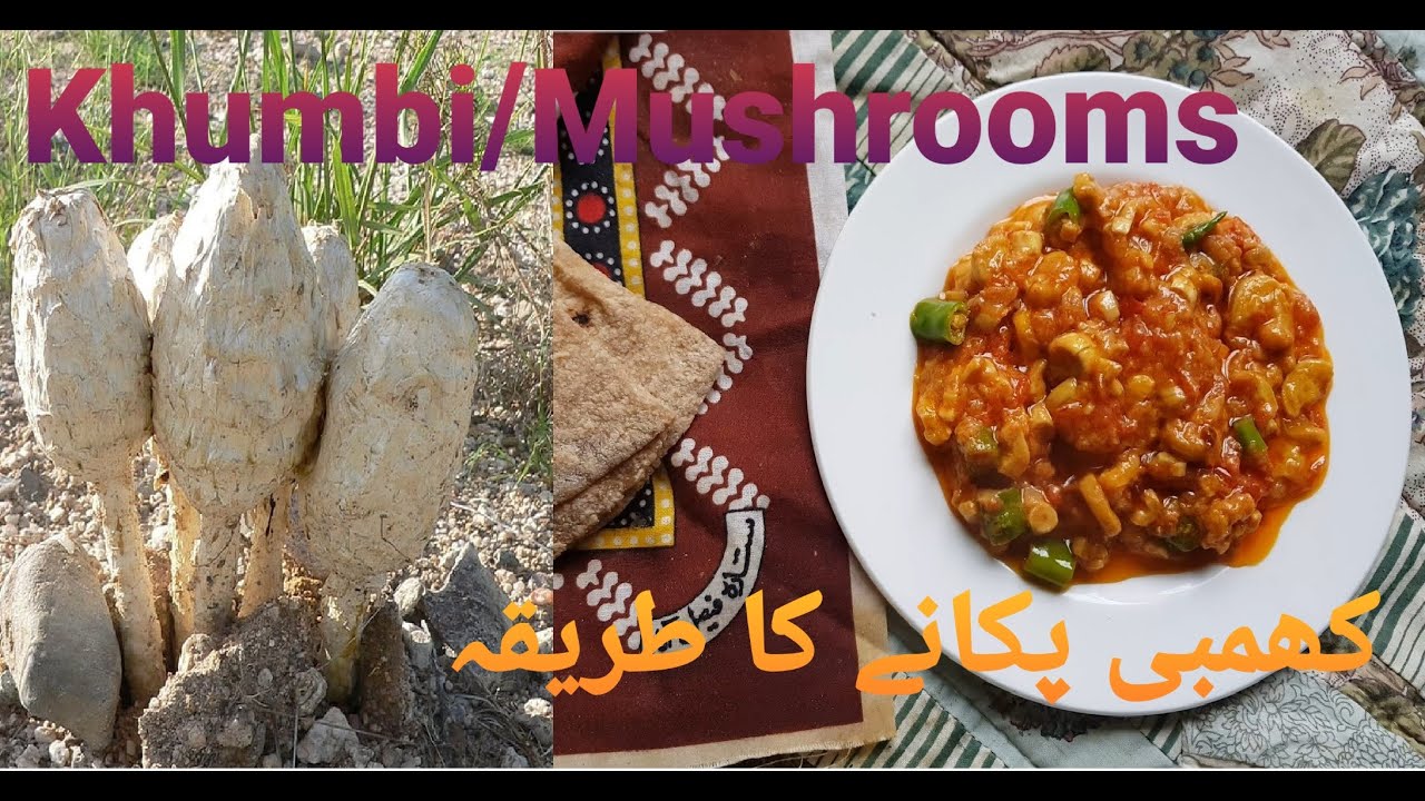 How To Cook Shaggy Mane Mushrooms | Khumbi Bananay Ka Tareeka | کھمبی پکانے کا طریقہ