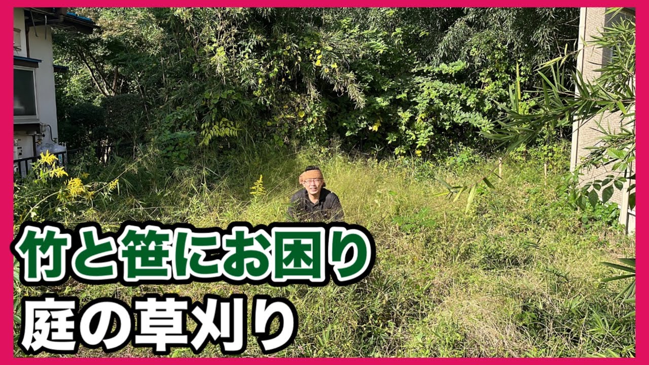 【仕事】竹や笹にお困りのお庭の手入れスッキリさせます！