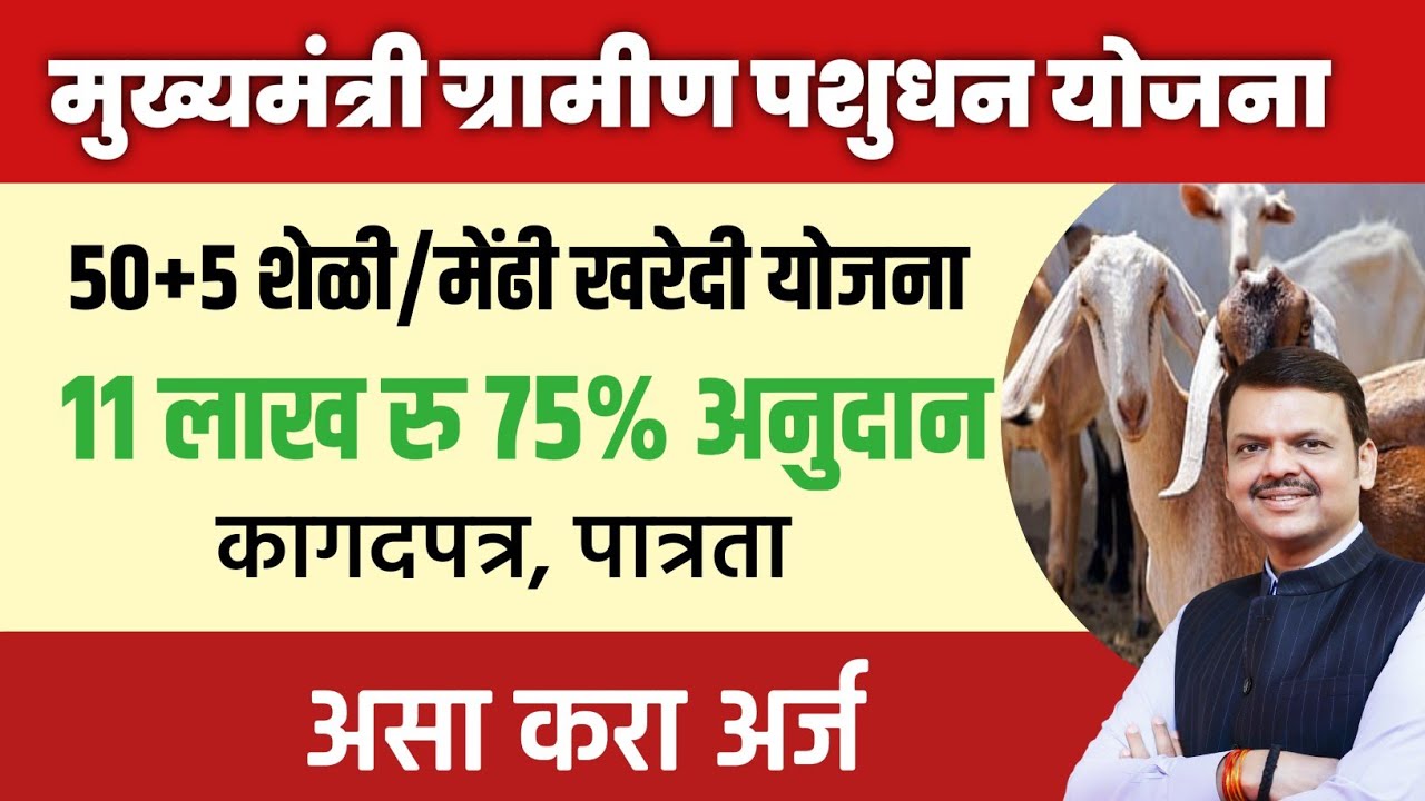 50+5 शेळी/मेंढी खरेदी|11 लाख रु 75% अनुदान मुख्यमंत्री ग्रामीण पशुधन योजना