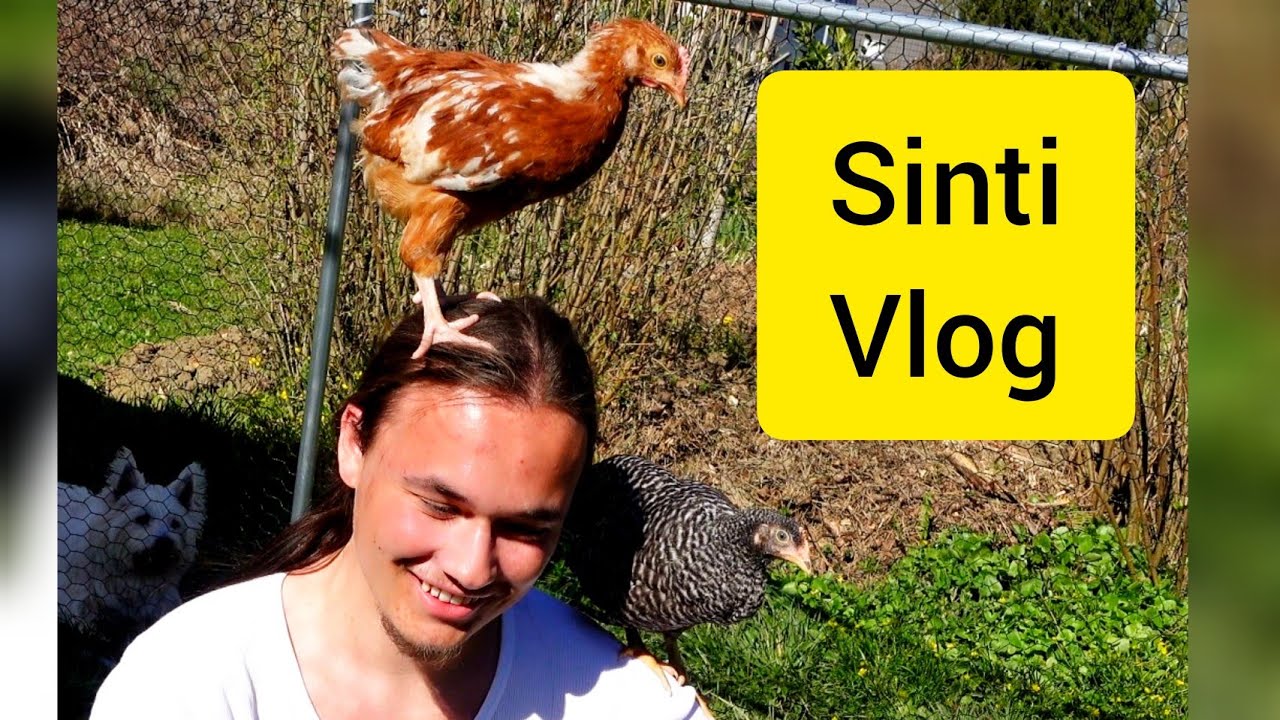 Sinti Vlog - 𝙈𝙞𝙧𝙤 𝘿𝙟𝙝𝙞𝙥𝙚𝙣