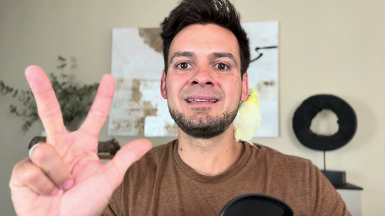 🚫 3 Fehler, die du bei der Fütterung vermeiden solltest