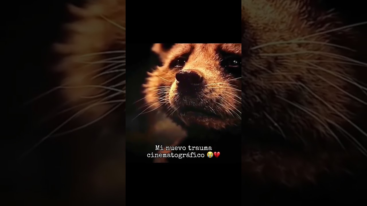 La escena m&aacute;s triste de todo el universo #marvel 😭 #gotgvol3 #guardiansofthegalaxy #pti #fyr