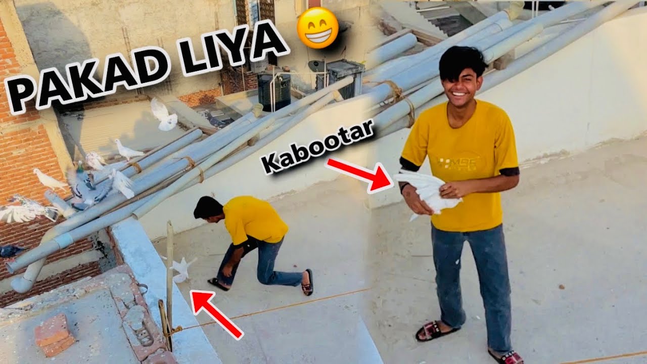 Dusare Ki Chhat Par Jake Kabootar Pakda Liya Aaj ❤️😁