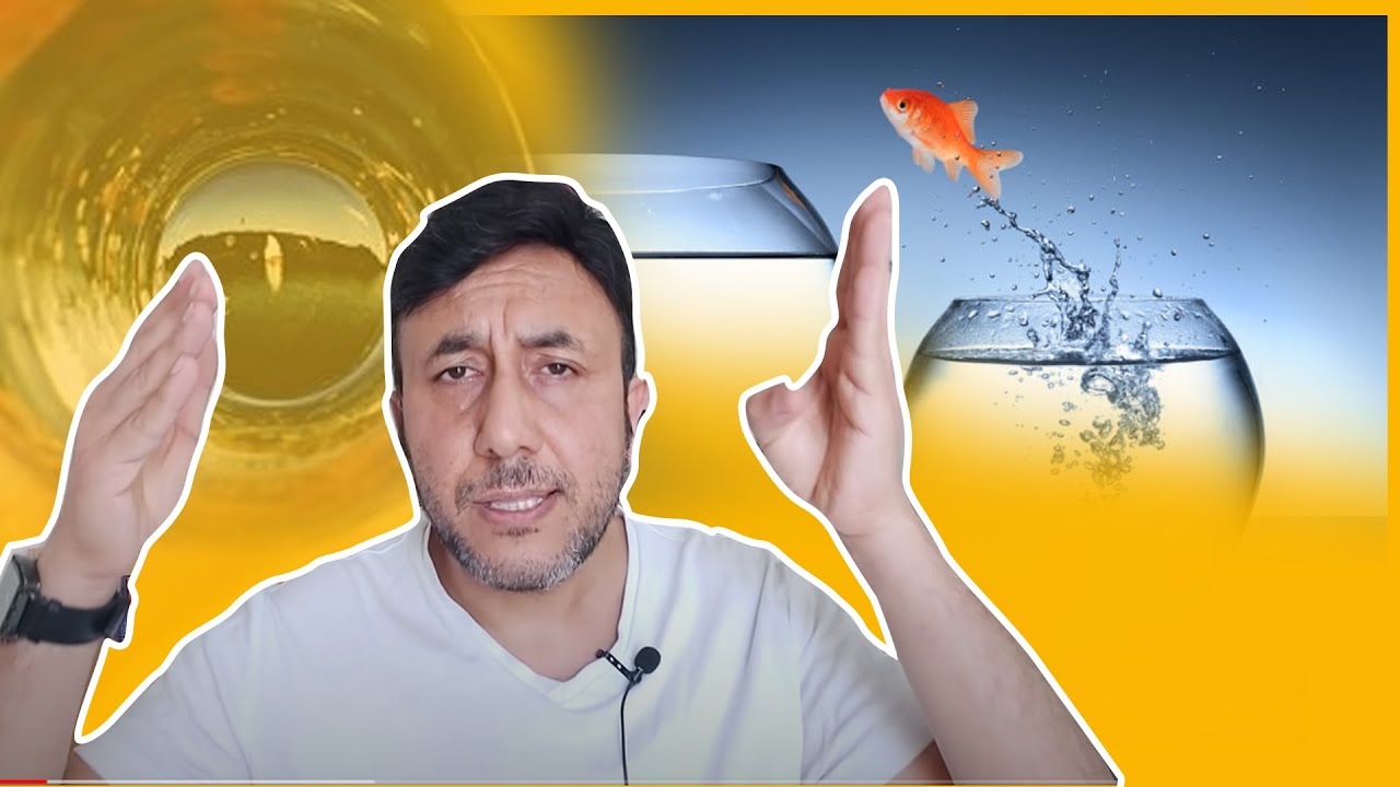 KONFOR ALANINI TERK EDEN BAŞARIR..!