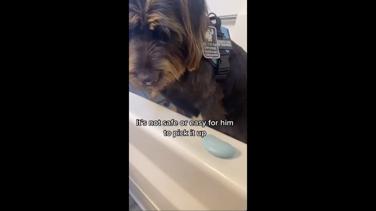 Sustainable Disability Shower Routine | Accessible Zero Waste Swaps #shorts