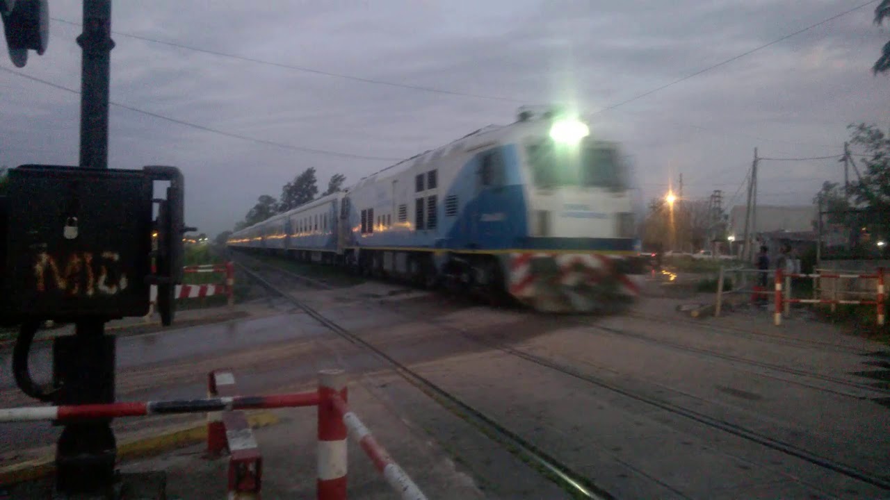 Tren a Jun&iacute;n por Sol y Verde