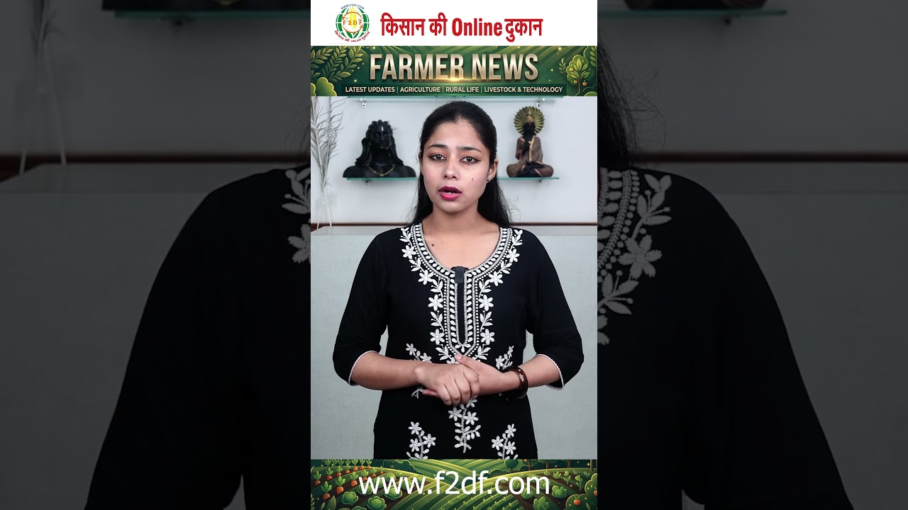 डीजल नहीं मिला तो किसानों ने रस्सी से खींचा ट्रैक्टर! SDM दफ्तर तक पहुंचा अनोखा विरोध  #f2df #news