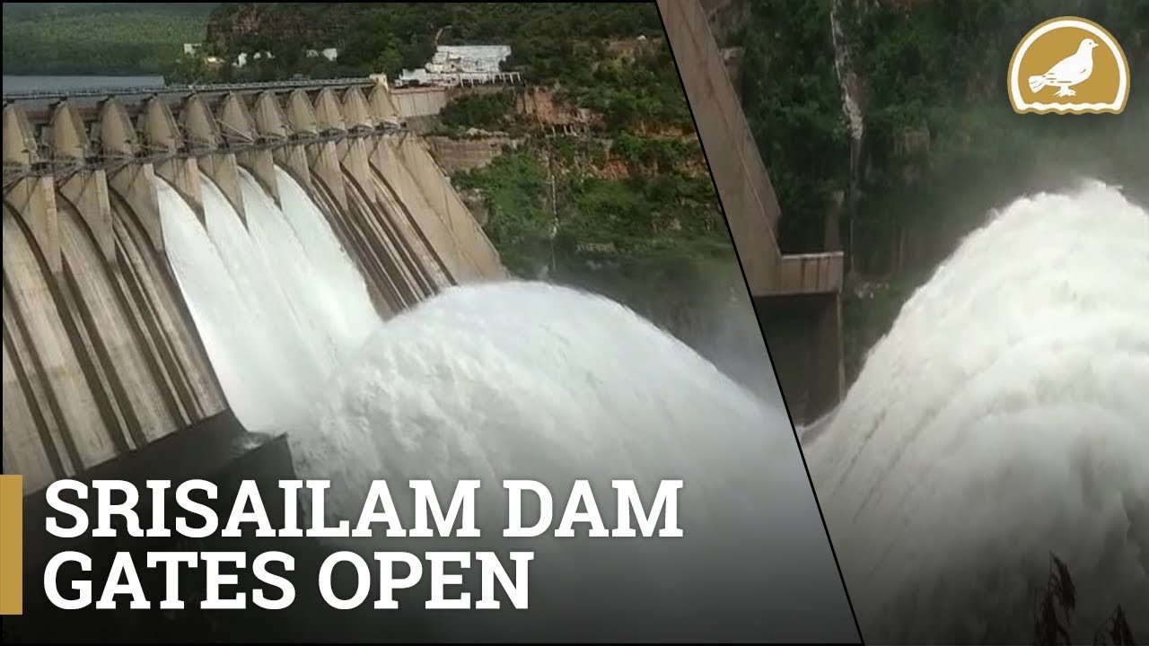 Srisailam Dam gates open due to Heavy inflow