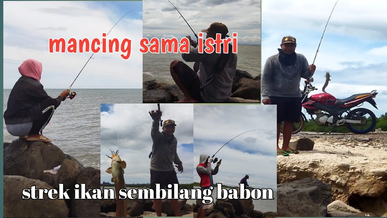 mancing dasaran pinggir pantai strek ikan kepala batu dan sembilang
