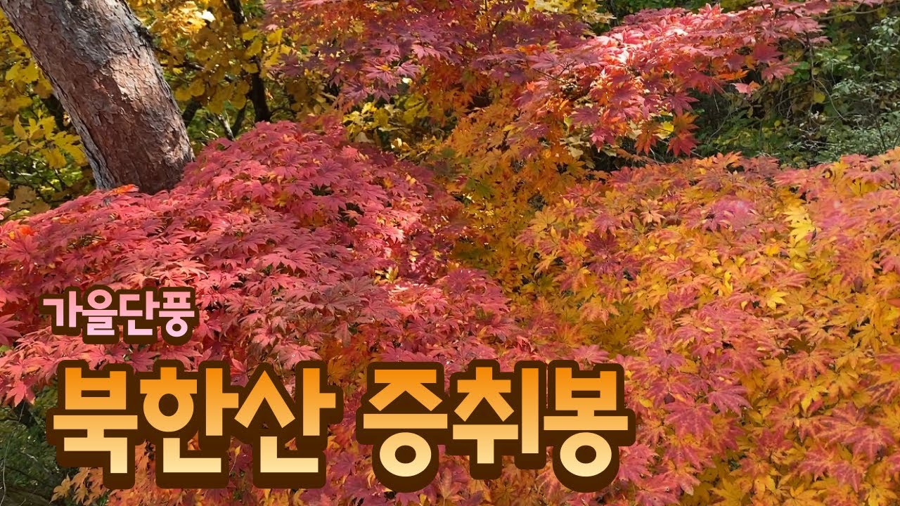 Bukhansan Jeungchwibong Autumn Maple Course.