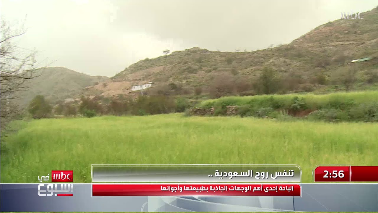 الباحة.. إحدى أهم الوجهات الجاذبة بطبيعتها وأجوائها.. جولة بصحبة نزار العلي
