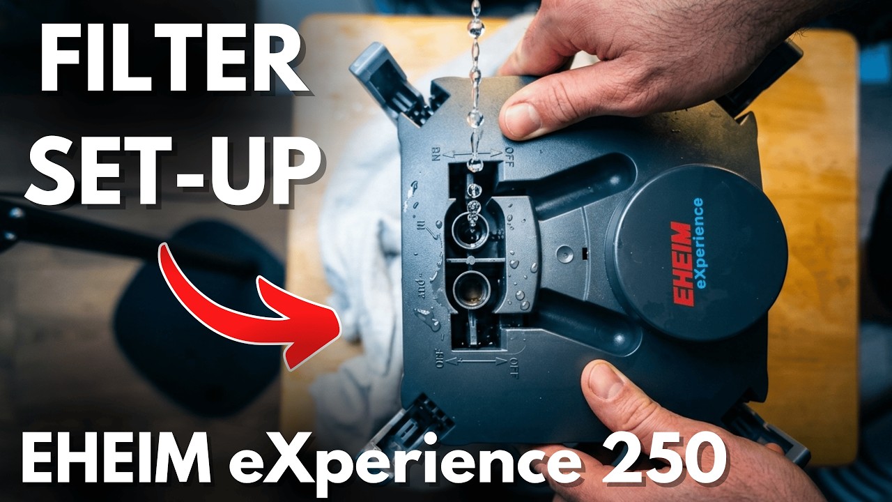 Установка фильтра EHEIM eXperience 250