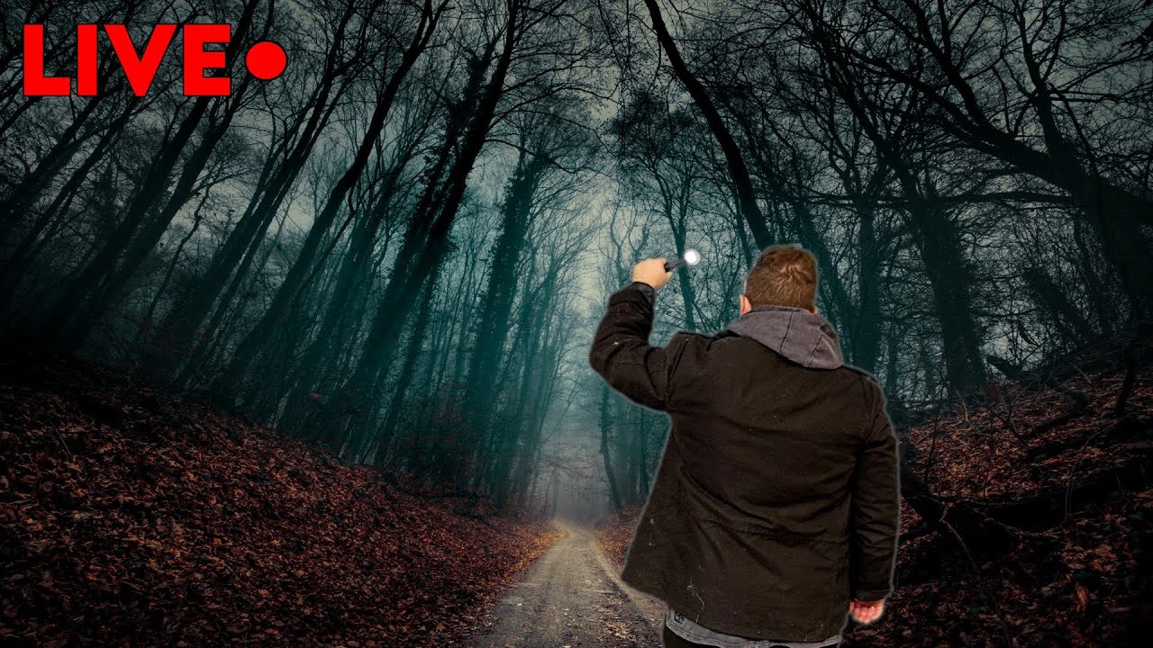 NACHTWANDERUNG im GRENZGEBIET! - Die gefährlichste STRASSE im EMSLAND!