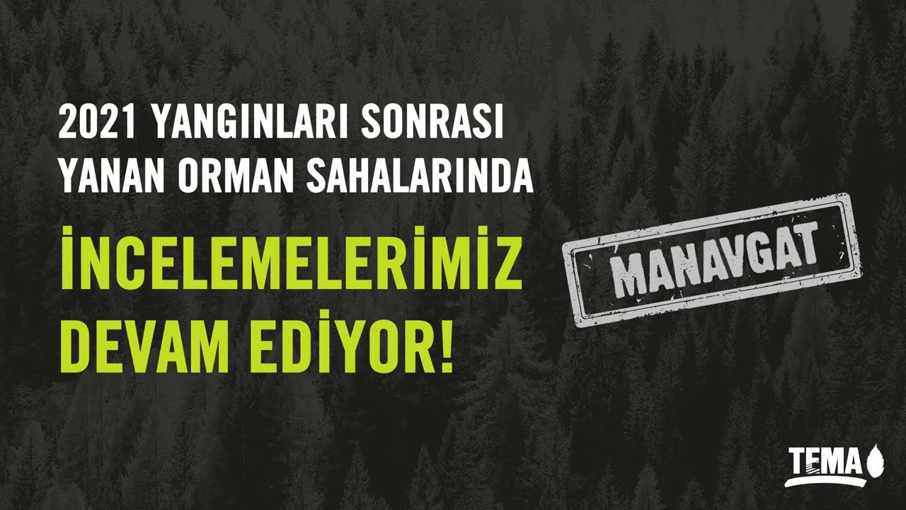 2021 Yangınları Sonrası Yanan Orman Sahalarında İncelemelerimiz Devam Ediyor! 📍  Manavgat