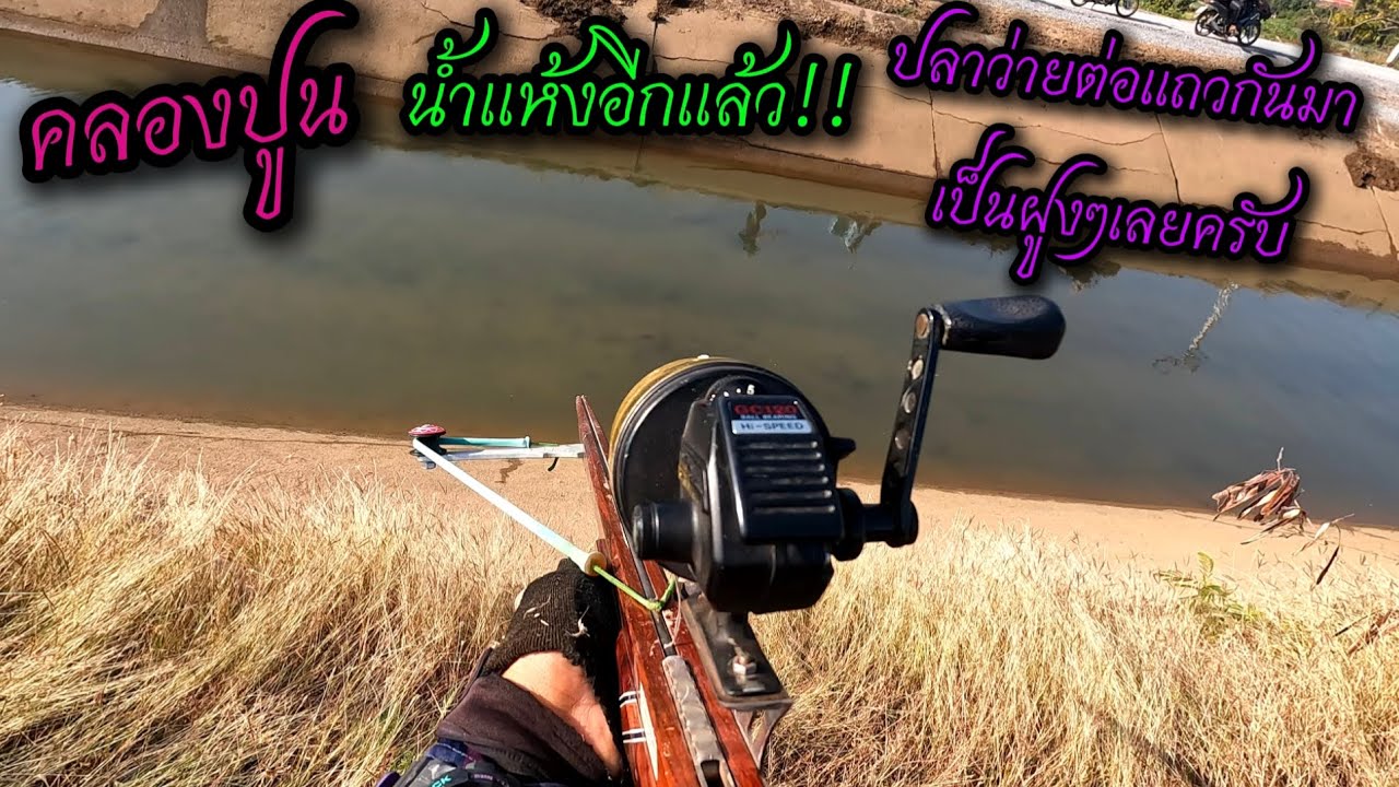 น้ำแห้งรับต้นปี ปลาว่ายต่อแถวกันมาเป็นฝูงๆเลยครับผม,,