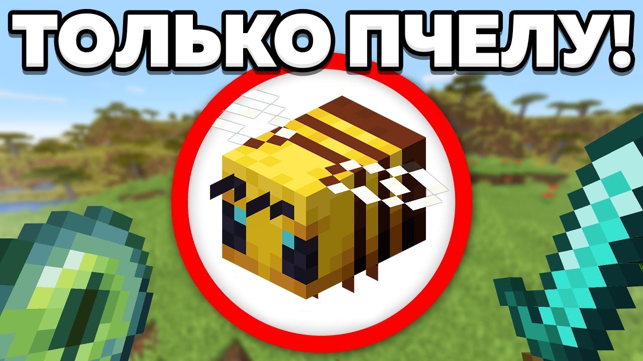 Как пройти майнкрафт используя только пчелу!
